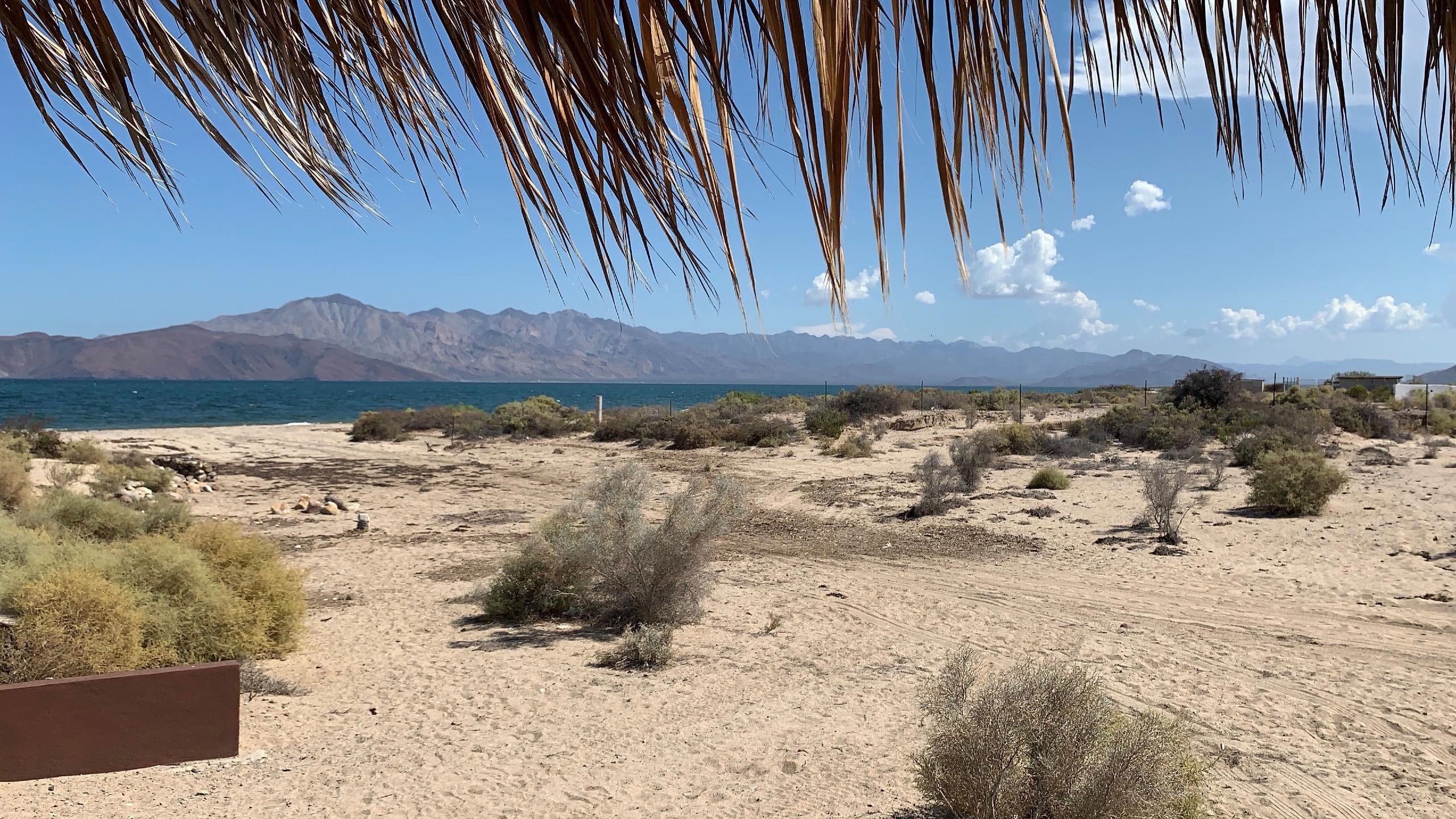 Bahia de Los Angeles